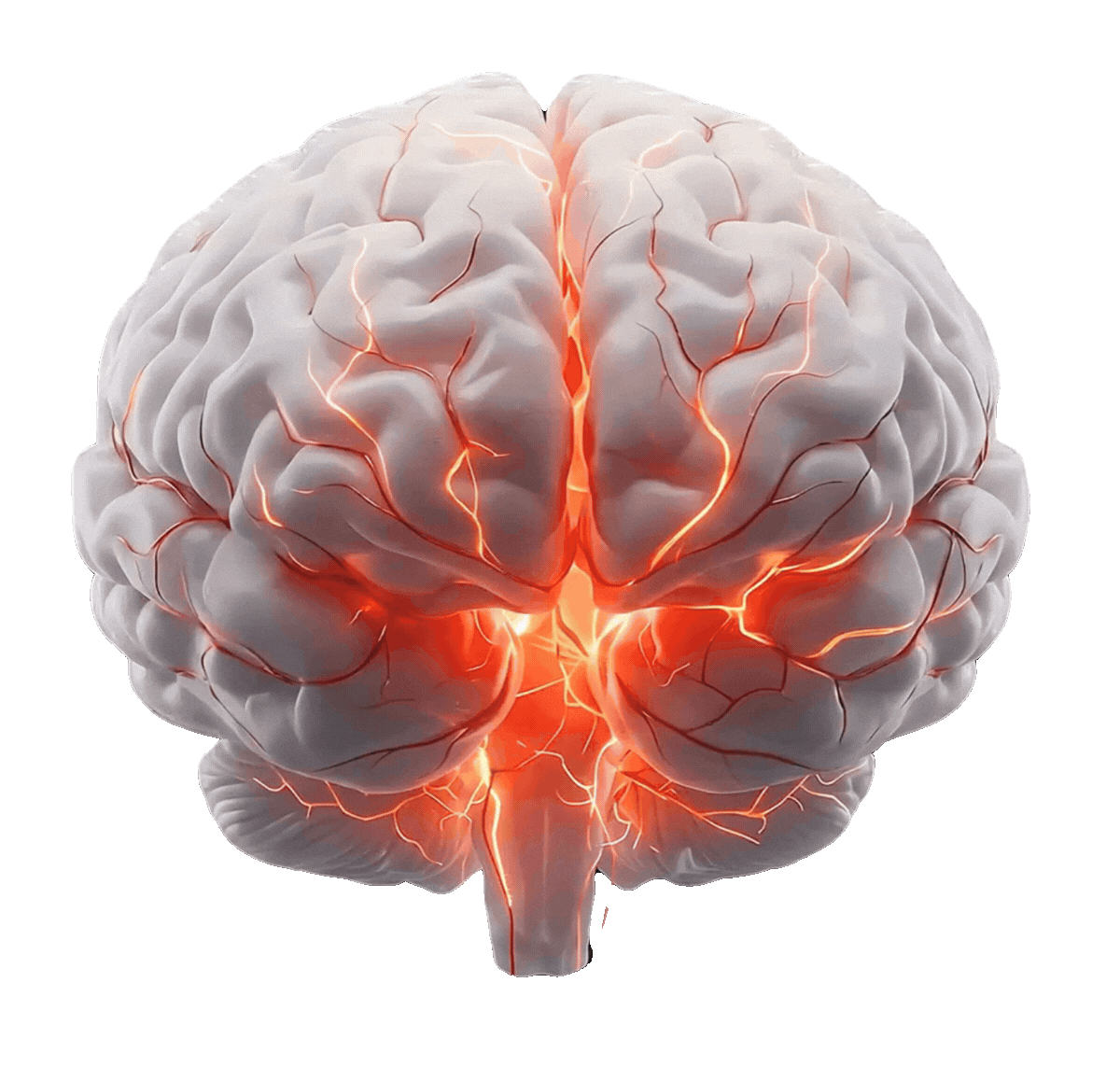 Brain Animation